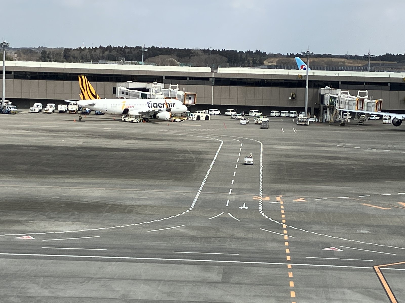 成田空港の駐機場